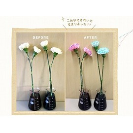 Free Research in 1 Day Cut Flower Dye Flower Palette