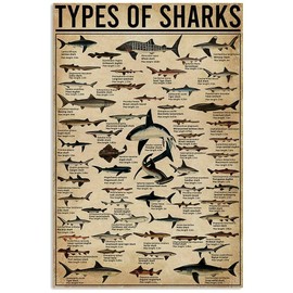 Types of Shark Metal Tin Sign nowledge Graph Fun World Education Science Classroom Infographic Poster Painting for Great Gifts and Decorative Door Wall School Farm Hospital Retro Poster 12x18 Inch