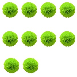 10Pcs Flower Honeycomb Balls,Hanging Tissue Paper Pompoms,Tissue Hanging Paper Pom Poms Green 15cm for Birthday,Party,Wedding