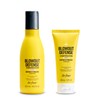 Drybar Blowout Defense Strengthen & Extend Shampoo - Hydrates, Detangles,