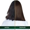 Tinte para cabello Nutrisse Oleos sin amoniaco 5.31 castaño dorado