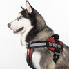 Dogline Do Not Pet Vest Patches – Removable Do Not
