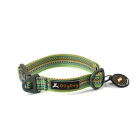 OllyDog Rescue Adjustable Dog Collar with Sturdy Buckle, Lightweight Training Collar for Large, Medium and Small Dogs (Medium, Prism Green)