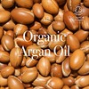 RAIP R3 ARGAN HAIR OIL 100ml