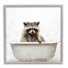 Stupell Industries Raccoon Bubble Bath Framed Giclee Art by Lazar
