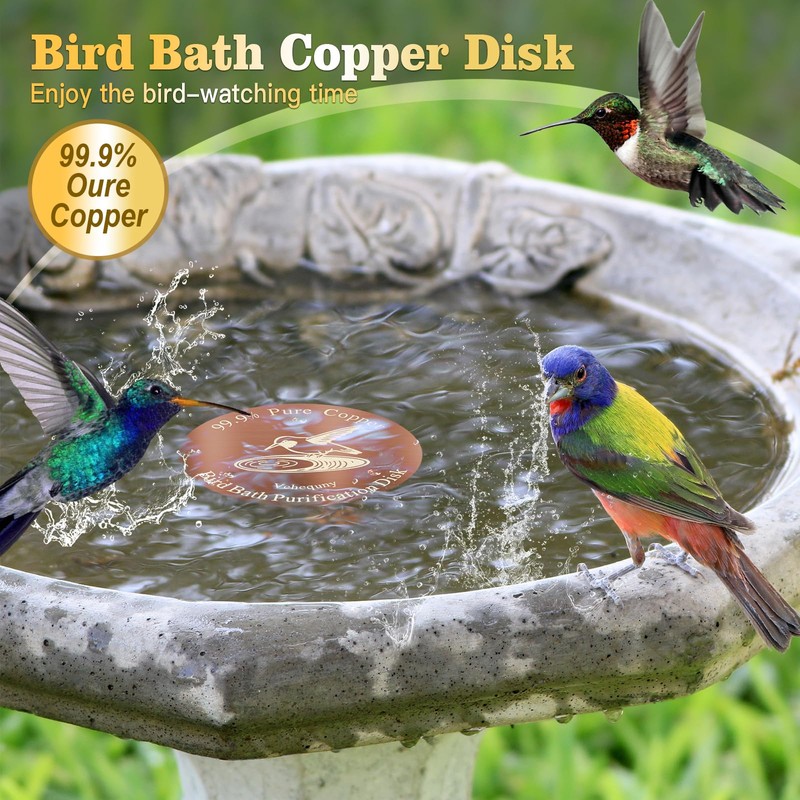 Vehequny Copper Disc for Bird Bath – 99.99% Pure Copper