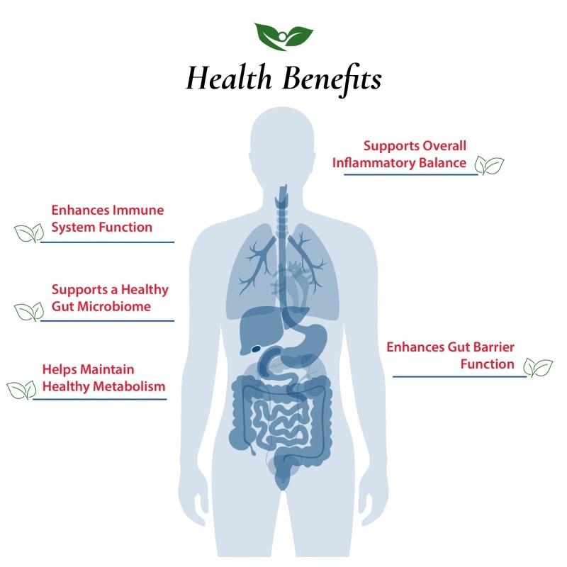 Foods For Gut Akkermansia Muciniphila Probiotic Powder 1B AFU |