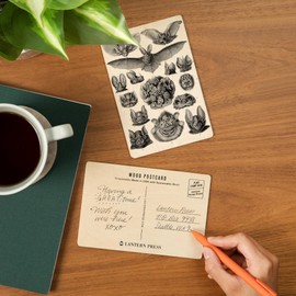 Art Forms of Nature, Chiroptera (Bats), Ernst Haeckel Artwork (4x6 Birch Wood Postcards, 2-Pack Stationary, Rustic Home Wall Decor)