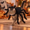 Spider Costume for Cats & Small Dogs – Black Halloween
