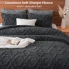 PHF Warm Sherpa Fleece Twin Comforter Set, 3D Tufted Fluffy