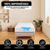 Dreamway Mattress Cover 90 x 200 cm - Complete Against