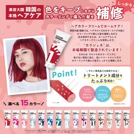 COLORR GENERATION SILVER ASH Color Hair Cream 5.3 oz (150 g) (x1)