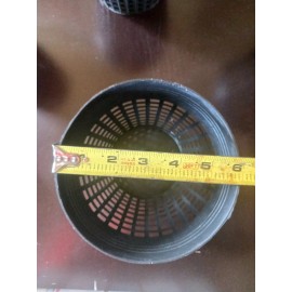 Unbranded 6 inch Plastic baskets for resistant hollow orchids seedlings