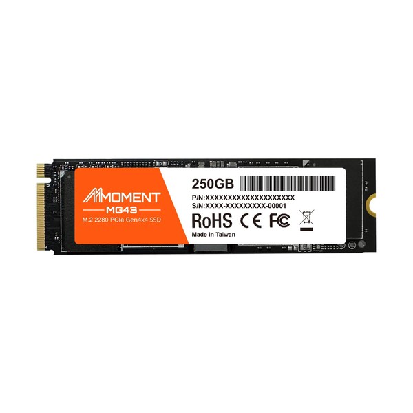 MMOMENT MG43 250GB M.2 2280 PCIe Gen4 NVMe 1.4 Internal