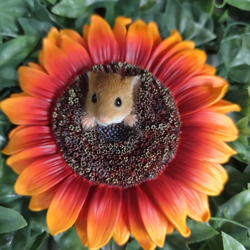 Vivid Arts HGF-029 Hanging Harvest Mouse / Orange Sunflower