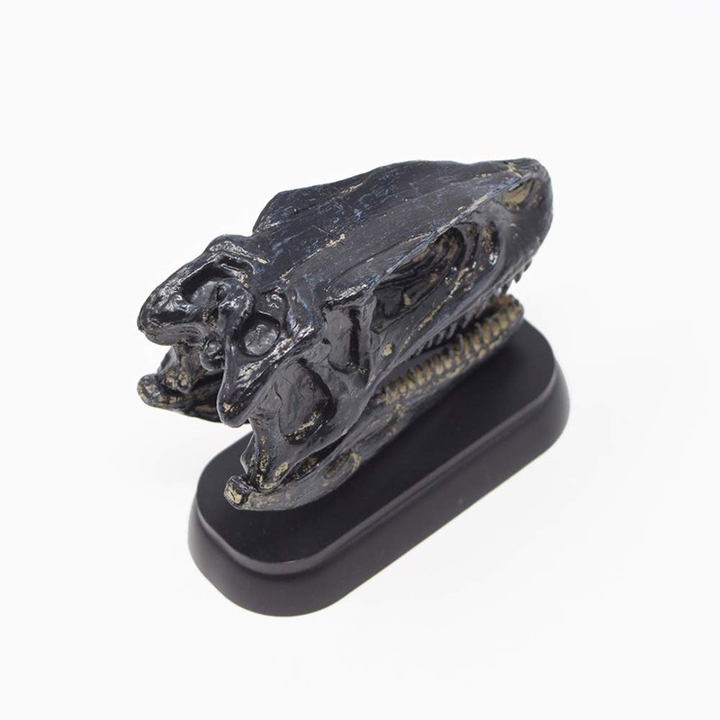73510 Dinosaur hukuiraputoru Skull Mini Model (FDW – 510)