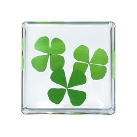 Bon Cube Mini Acrylic Resin Cube Paperweight with Preserved Flower Eternal Flower Four-Leaf Clover Inside 4cm Cube Green Aesthetic Shelf Plants Decoration Desk Trinkets Decor for Girlfriend
