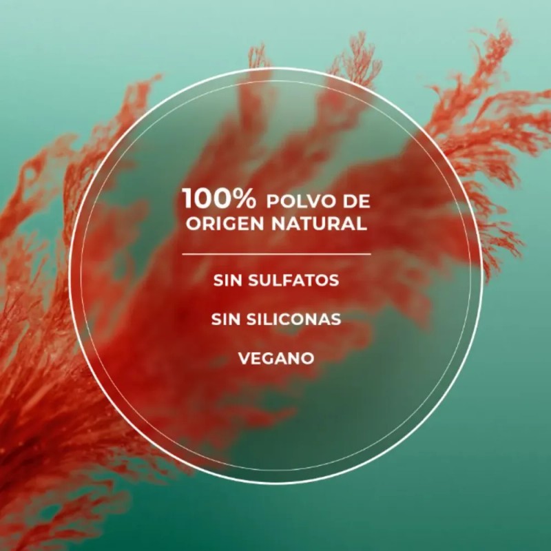 Shampoo En Seco Reduce Sebo Pureza Detox Yves Rocher 150ml