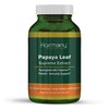 Harmony Nutraceuticals Papaya Leaf Supreme Extract Highest Potency Maximum Bioactivity