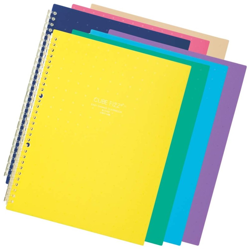 Lihit Lab N6482-8 File Clear Book, Interchangeable, A4, 30 Holes,