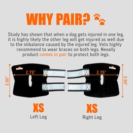 NeoAlly Cat and Dog Ankle Brace Pair Canine Rear Leg Hock Support with Safety Reflective Straps for Hind Leg Wounds Heal and Injuries and Sprains from Arthritis (XS Pair)