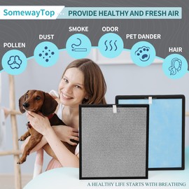 [2 SETS] Air Replacement Filter Set Compatible with HSP001 Air Filters True Air Clenaer for Home, H13 HEPA, HEPA Pre-filter,Carbon and Pre-filter 4