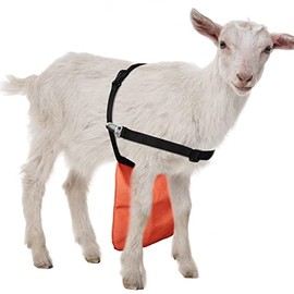 Kajaia Breeding Control Buck Apron Adjustable Orange Anti Mating Skirt Anti Breeding Goat Skirt with Adjustable Strap for Goats and Sheep (M)