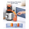 Ganiza Juicer Machines, Slow Masticating Juicers with Large Feed Chute