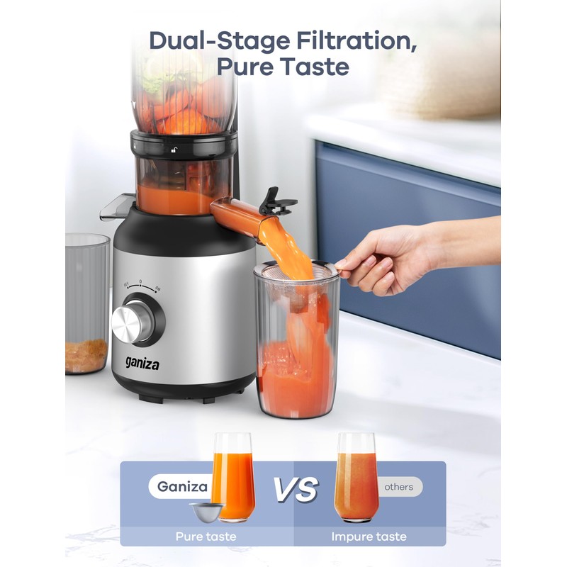 Ganiza Juicer Machines, Slow Masticating Juicers with Large Feed Chute