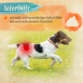 Ida Plus Diar-Stopp Tabs - Kautabletten gegen Hunde-Durchfall - Durchfallmittel für Hunde - Hund-Darmflora aufbauen mit Probiotika - Darmsanierung für den Hund - Stoppt Hund Durchfall - 120 Tabletten