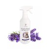 New Trends Shop Pet Odor And Stain Remover