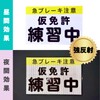 (Ritaverse), Retroreflective, Instruction Manual Included, Driving School, Graduation Celebration Set,