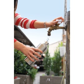 Guzzini - On The Go, ENERGY L Thermos Flask, Water Bottle, Stainless Steel, Silver, Diameter 8 x Height 24 cm | 750 cc - 11670363