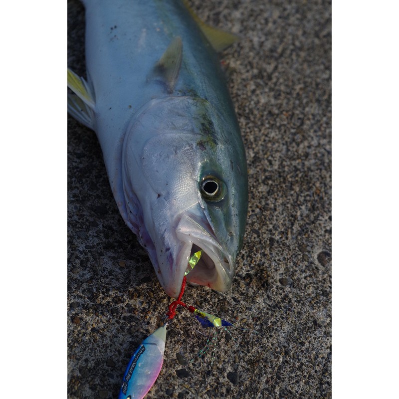 Abu Garcia (アブガルシア) Shore Skid Jig 30g Pink SSSHRSJ30-PK Metal