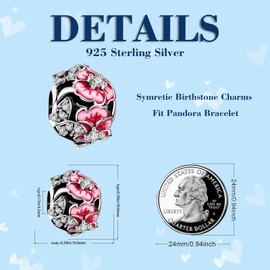 Symretie 925 Sterling Silver Charms Pendant for Bracelets and Necklaces - Travel Family Heart Bead Charms Jewellery Gifts, Sterling Silver