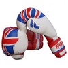 Farabi Boxing Gloves Kids Junior Flag Series Training Bag Pads