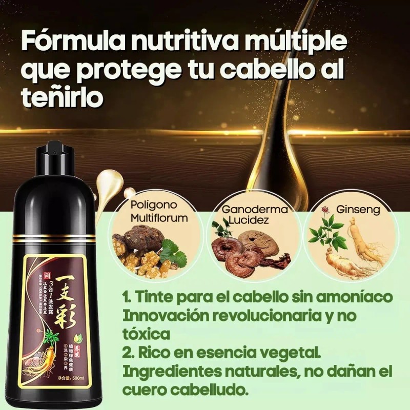 Shampoo Tinte Instantneo Cubre Canas Negro 500ml