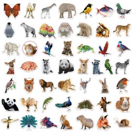 50pcs Cute Animal Stickers for Kids, Zoo Animal Stickers for Water Bottle, Funny Animal Stickers Pack, Waterproof Vinyl Stickers for Laptop Water Bottle Scrapbook Kids Classroom Party Favors(Animal)