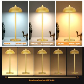 JONEMO Rechargeable Cordless Table Lamp - 5000mAh Battery Operated Table Light, 3 Color Stepless Dimmable LED Table Lamp with Memory Function for Indoor, Outdoor, Dinner, Home, Restaurant.(Gold)