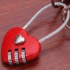 Tustao Mini Love Heart Lock,Red Heart Padlock, Mini Code Lock,Bags/Suitcase/Lockers/Backpacks/Jewelry
