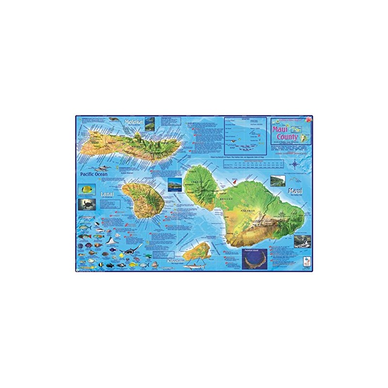 Maui Hawaii Dive & Snorkeling Guide Map Laminated Poster by