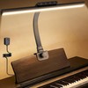 Glendan Piano Lights for Digital Piano and Grand Piano, Professional