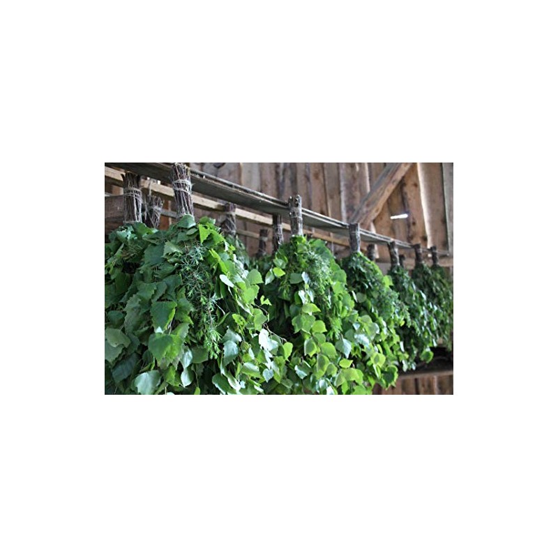 SaunaGoods Birch + Juniper Organic Sauna Whisk Made Banya Wenik