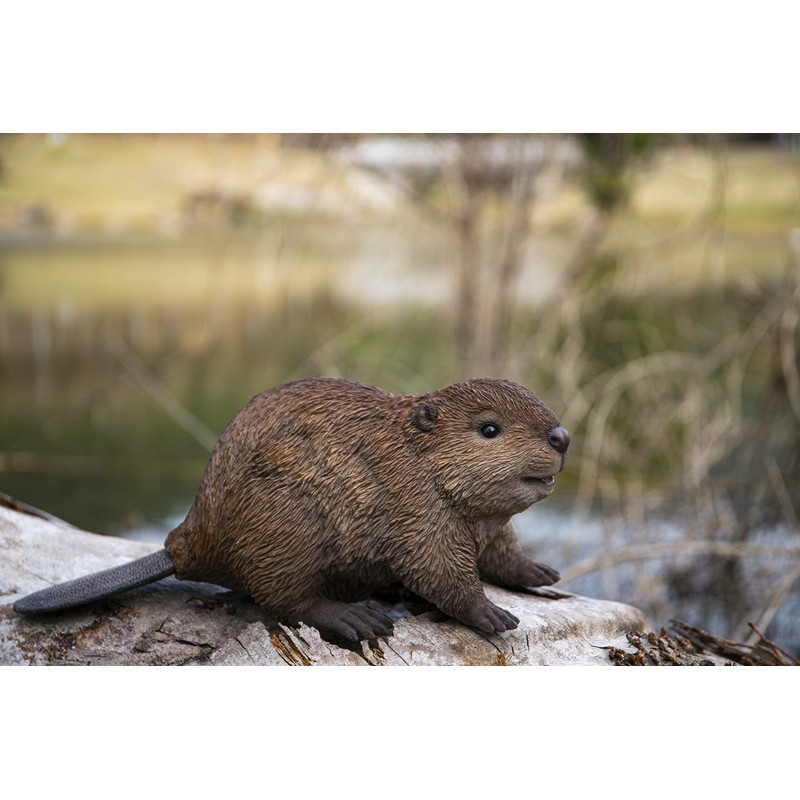 Hi-Line Gift American Beaver CUB Statue, Brown
