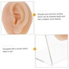 Healvian Realistic Fake Ear Model Earring Practice Body Parts Hypoallergenic