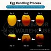 Incubator Warehouse Incu-Bright™ Ultra Bright LED Egg Candler - Portable