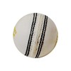 General Motors-GM Clubman Leather Cricket Ball (White)