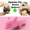 Splash Pig & Dog Squishy Toys (2PCS) Stress Balls for