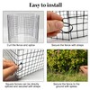 30 Pcs 24'' x 12'' Large Wire Plant Protector from