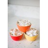 Amish Country Popcorn | 3-1 lb Bags | Variety Set